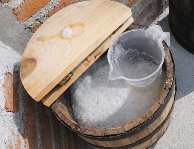 Semilla - Pulque
